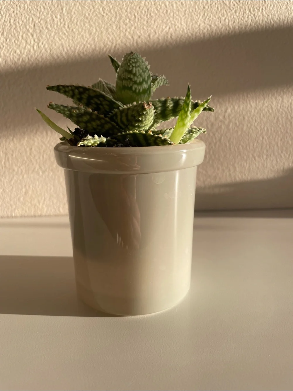 Sage Green Jar
